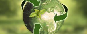 Analista Ambiental: Conhecimentos Técnicos e Legais Analista Ambiental: Conhecimentos Técnicos e Legais