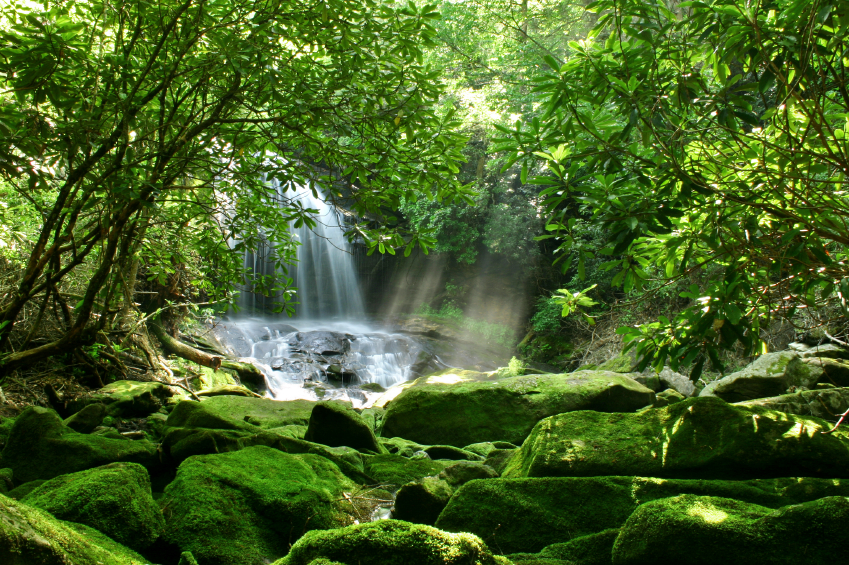 Diversidade Ambiental E As Transformações Nas Paisagens Na ásia
